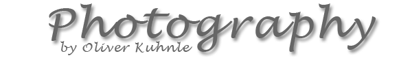 Site Title