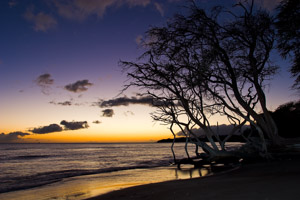 Maui, USA 2007