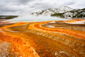 Yellowstone National Park, USA 2011