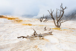 Yellowstone National Park, USA 2011