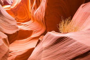 Arizona, USA 2009